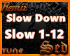 |S| Slow Down Remix