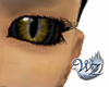 Gold Dragon Eyes