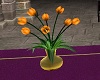 Church Orange Lilies