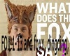 What does the Fox Say?