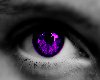 Crystal purple eyes