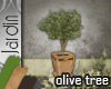 [MGB] J! Tree - Olive