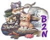 B2N-Kittens at Play