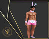 Fit Páscoa Sexy Masc