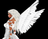 ANGEL Wings★