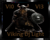 *Viking Dj Light