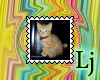 kitten stamp 12