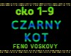 CZARNY KOT