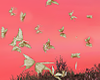 T- Butterflies