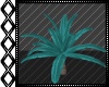 Teal Beach Palm Tree