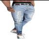 Jeans Male Gc