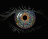 6v3| Eye