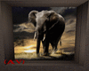 (AV) African Elephant