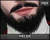 🔻Domi Beard MH Unique