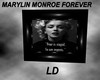 Marylin Monroe Forever *