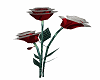 ANIM: Red/Silver Roses