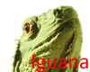-SM-Iguana
