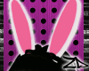 [ZD] PB Bunny ears *-*:$