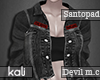 Denim jacket dv grey san