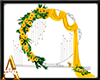 Bridal Arch Sunflower