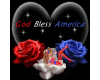 God Bless America Roses