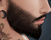 Beard V2