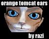 Orange Tomcat Ears