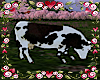 *Animated Cow