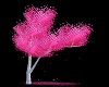 Stylish Pink Sakura Tree