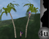 4u Palm Tree With Poses