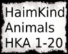 HaimKind-Animals