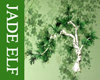 [JE] Birch Tree