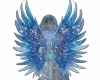 Iva Arctic Elegance wgs3