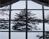 S~n~D Snow Window 1