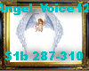 Angel_Voice12