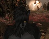 Alpha Wolf Hair M V1