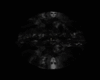 Flaming Darkness Dome