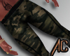 (A) Workout Pants Camo