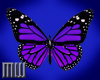 Who| Butterfly Fly! V2