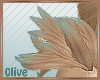 :0: Nomi Shld. FUr
