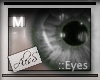 {a}-{Real Silver}-{M}