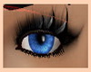 !~TC~! Blue Love Eyes