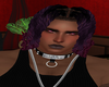 (KM) Purple Haze Dreads