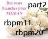Roses blanches (part2)