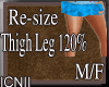 Re-Size Thigh Leg 120%