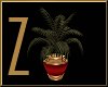 Z Xmas Palm Plant RG V2