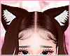 Cat ears mocca