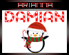 Damian's Stocking