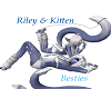 Riley + Kitten
