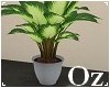 [Oz] - Plant green 2